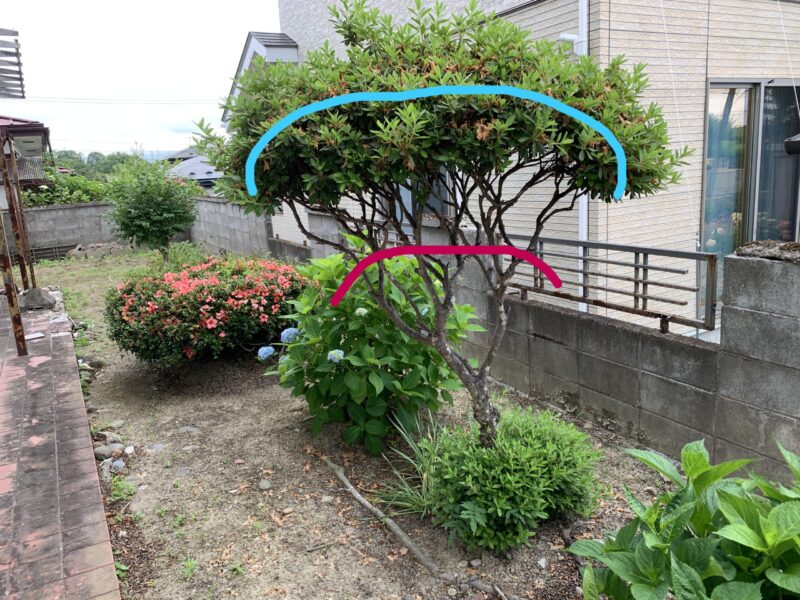 主幹を止める現実なライン
